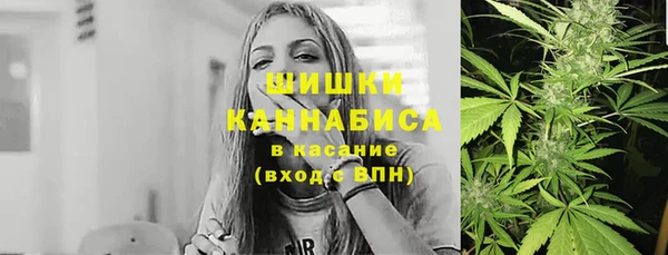 PSILOCYBIN Россошь