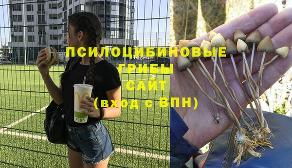 бутират Балахна